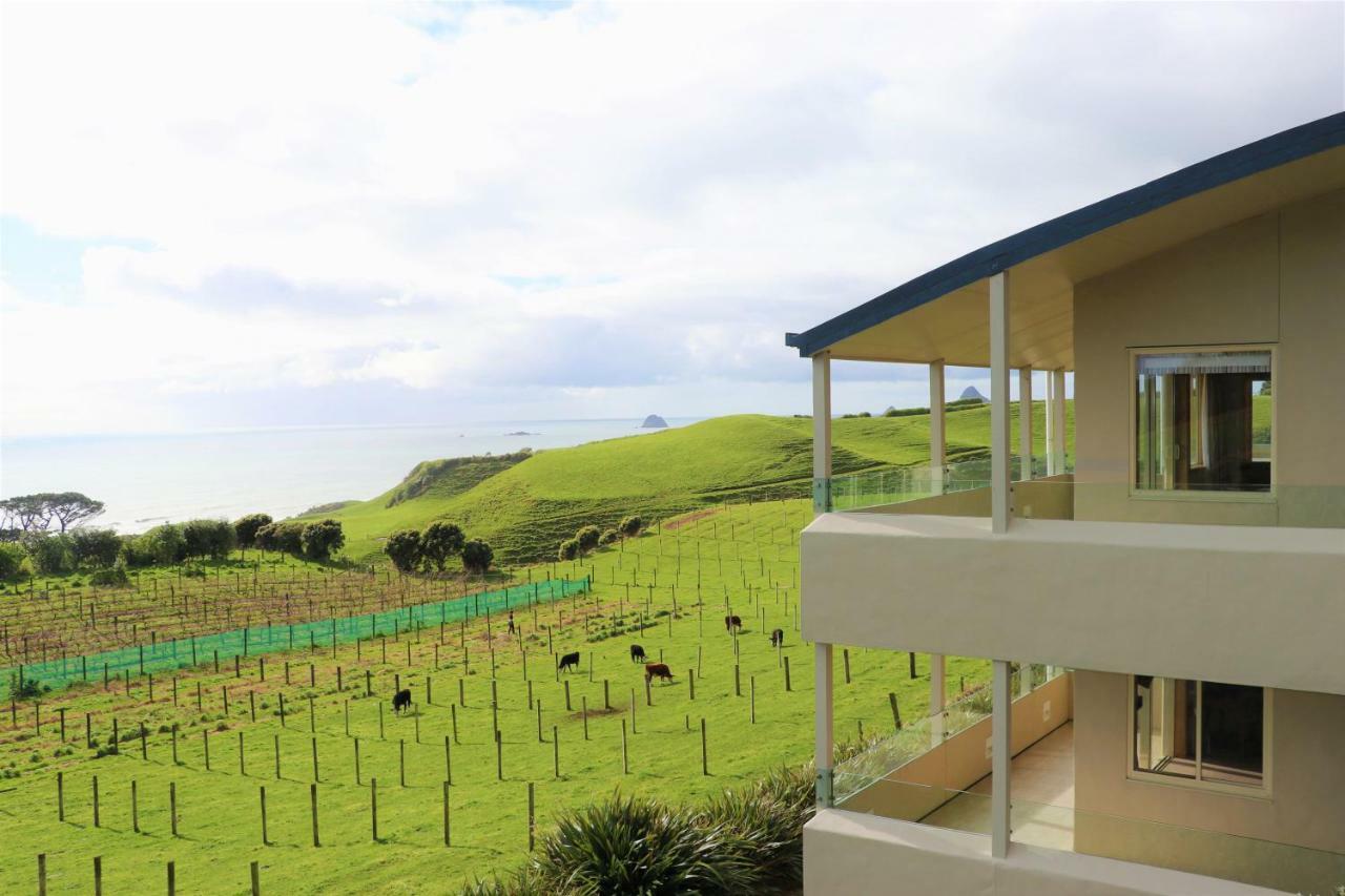 Chalets At Okurukuru نيو بلايموث المظهر الخارجي الصورة